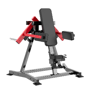 Elevao Lateral Plate Max