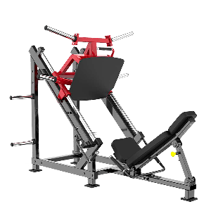 Leg Press 45 Plate Max