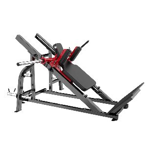 Hack Squat Plate Max 