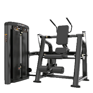 Abdominal Obliquo OriGym Select