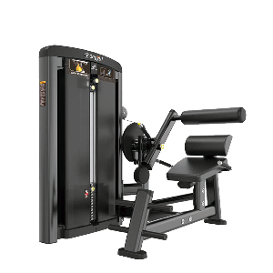 Extenso Lombar OriGym Select