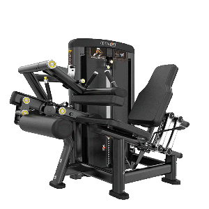 Flexora Sentada OriGym Select