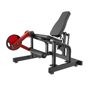 Extensora Unilateral OriGym XR3