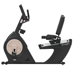 Bicicleta Ergomtrica Horiz. H6i