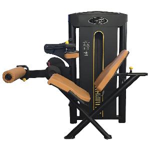 Flexora Sentada Convex