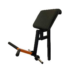 Bceps (Scott) Pro Home