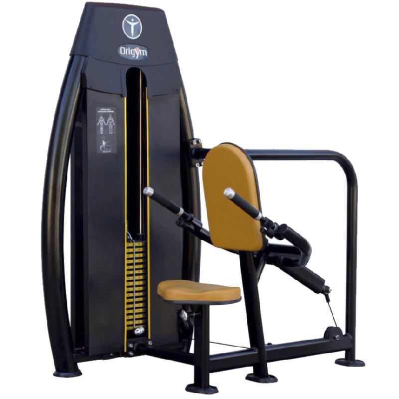Triceps Press OriGym Class